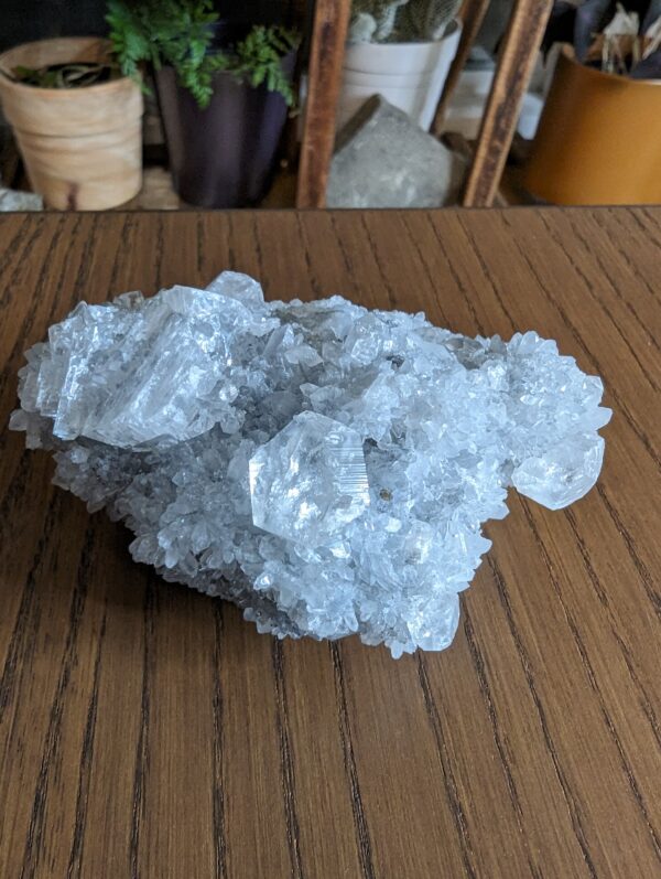 Radiant Apophyllite Cluster for Healing and Decor