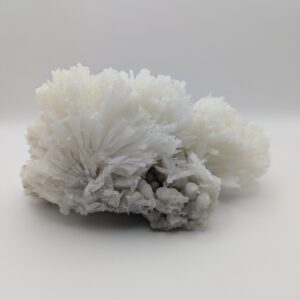 Coral Calcite Cluster – Natural Chinese Calcite Crystal for Grounding, Creativity & Home Energy Décor