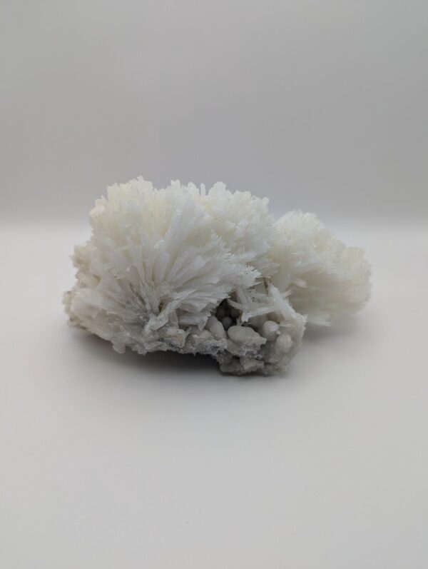 Coral Calcite Cluster – Natural Chinese Calcite Crystal for Grounding, Creativity & Home Energy Décor - Image 2