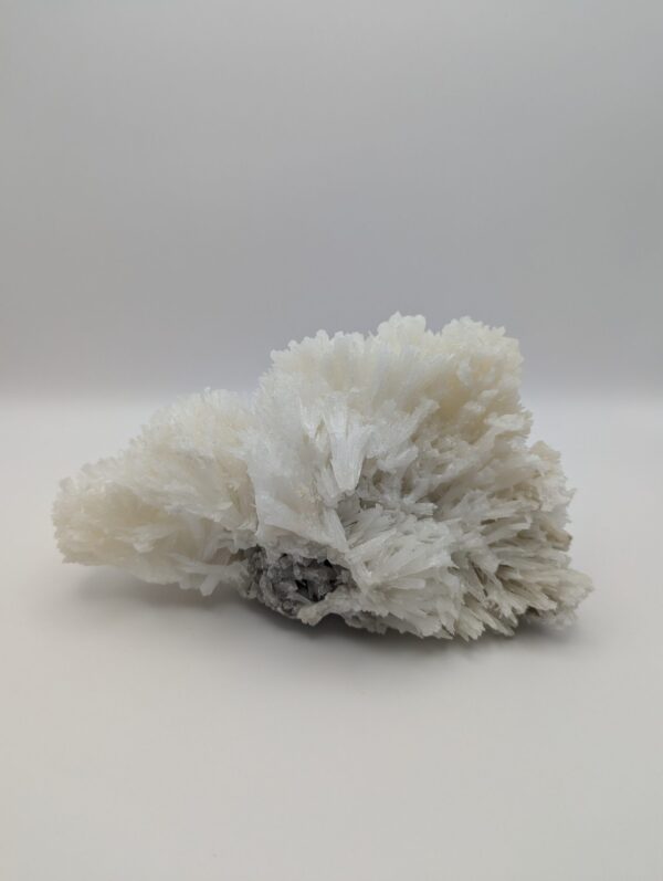 Coral Calcite Cluster – Natural Chinese Calcite Crystal for Grounding, Creativity & Home Energy Décor - Image 3