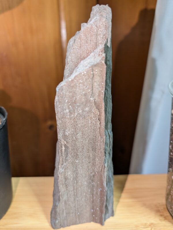 Druzy Petrified Wood – Rare Sparkling Fossilized Wood Specimen - Image 3