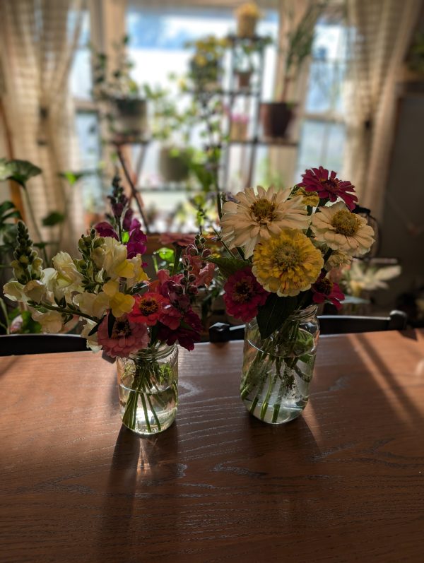 Large Seasonal Cut Flower Bouquet – Assorted Blooms