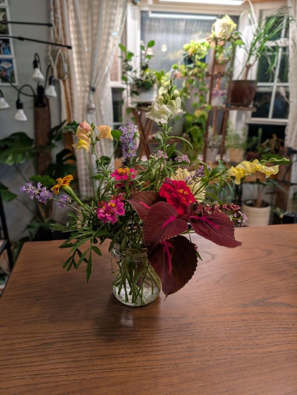 Large Seasonal Cut Flower Bouquet – Assorted Blooms - Image 2