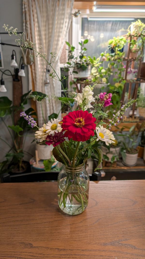 Large Seasonal Cut Flower Bouquet – Assorted Blooms - Image 4
